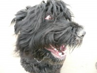 /album/fotogalerij-fotogalerij-3/bas-en-douchi-aan-zee-011-jpg/